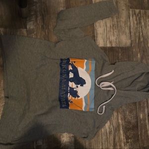 Disney’s Lion King Hoodie